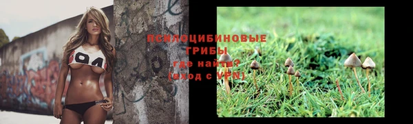 амфетамин Осинники