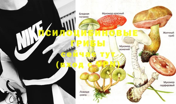 амфетамин Осинники